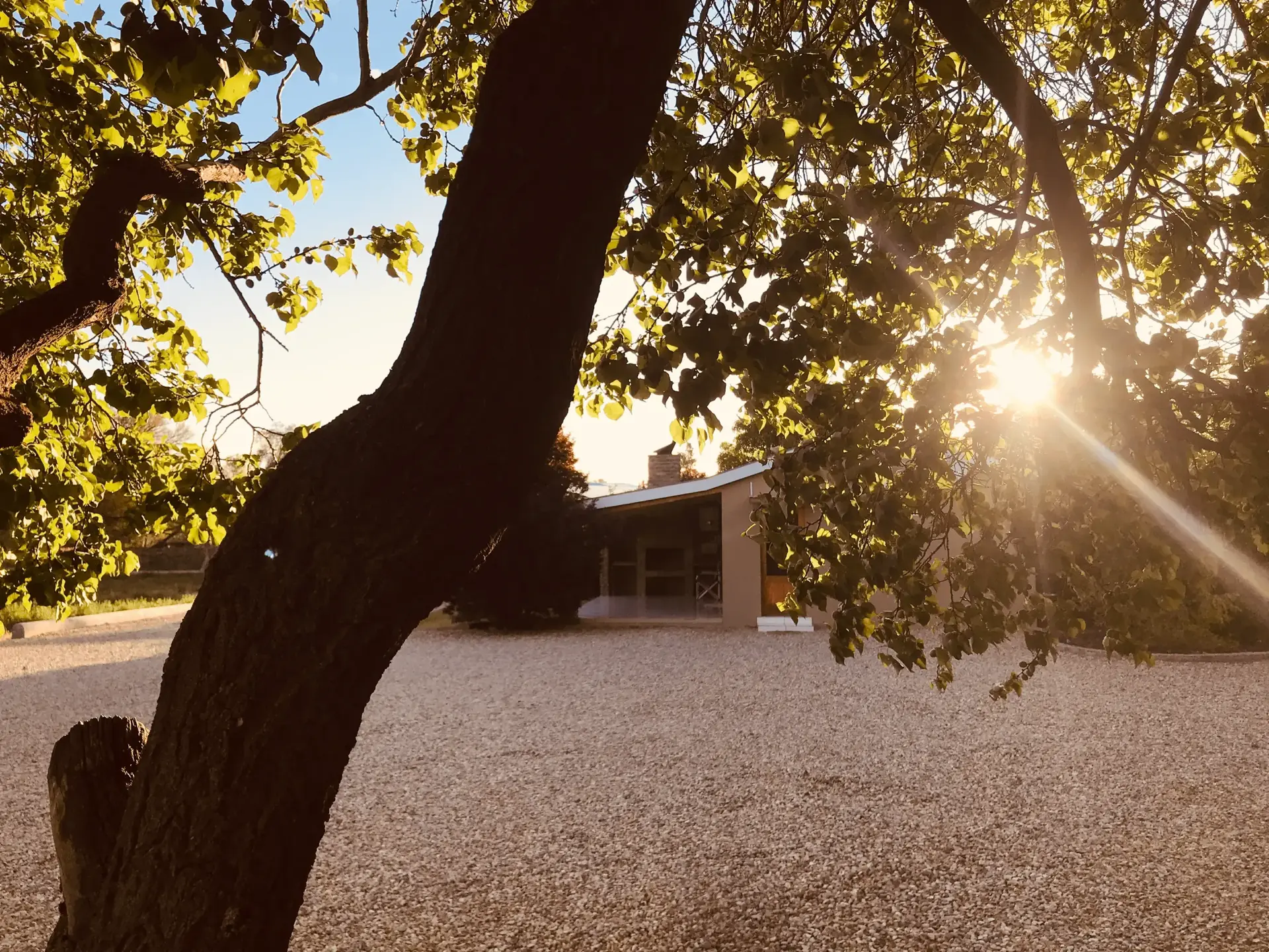 Karoo landscape surrounding Tarantula Guesthouse in Calvinia