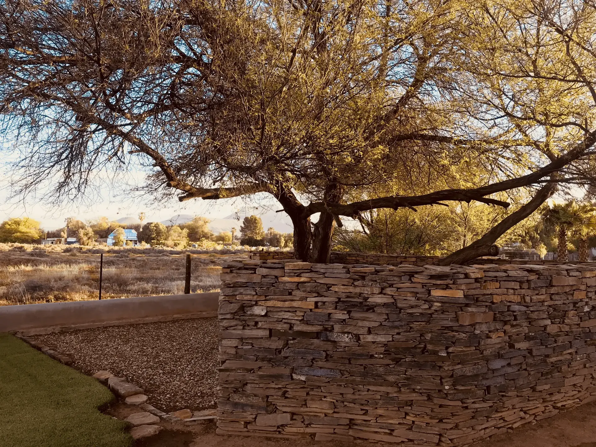 Guesthouse entrance with Karoo vegetation